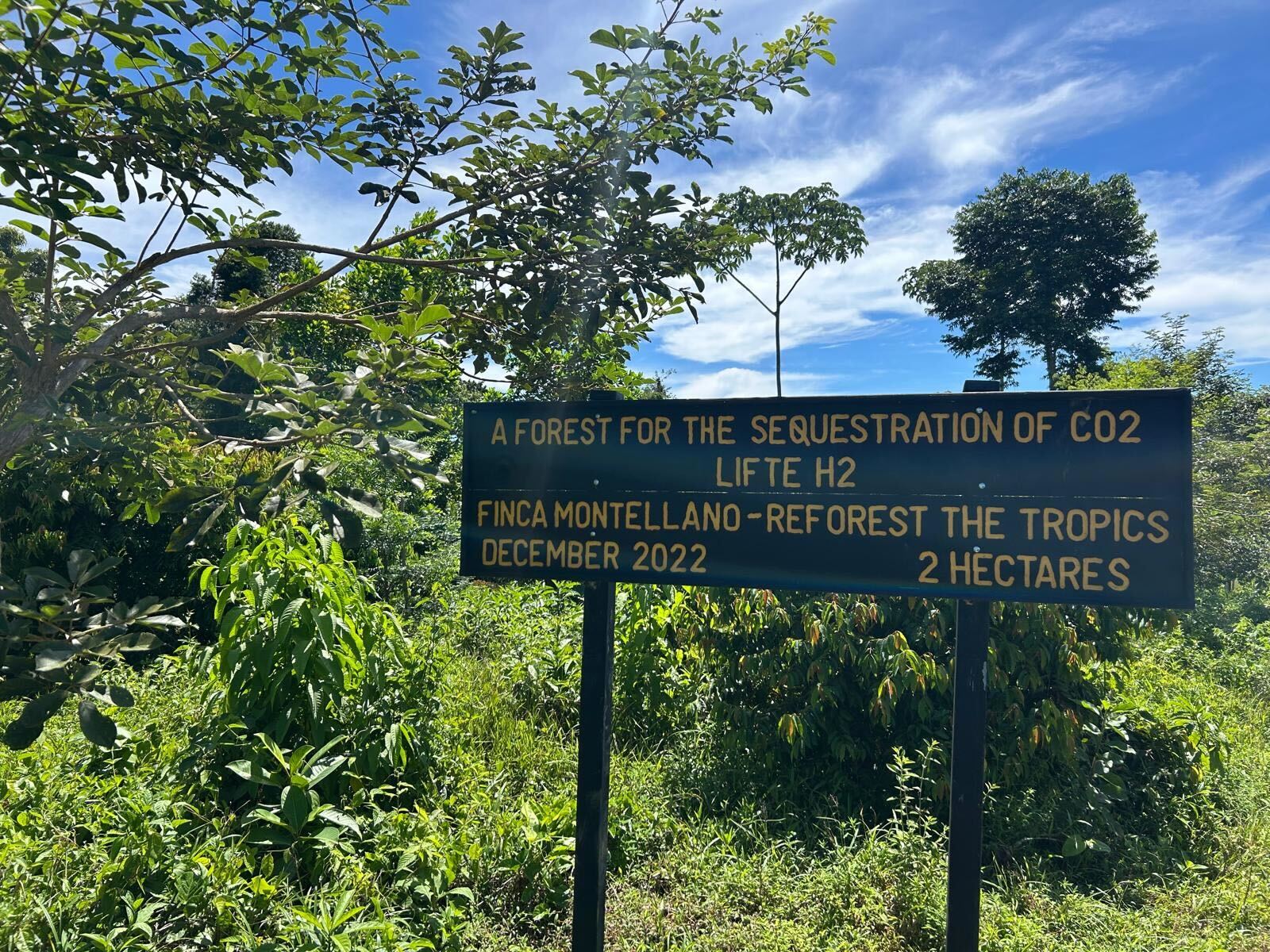 LIFTEH2 Offsite project Reforest the Tropics